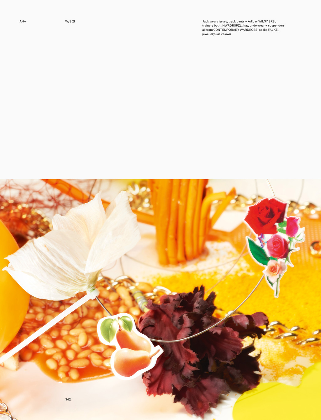 5.8.6 FC - © Arnaud Lajeunie