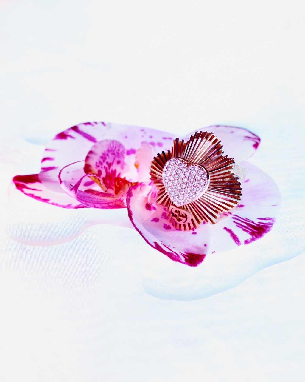 AnOther - © Arnaud Lajeunie