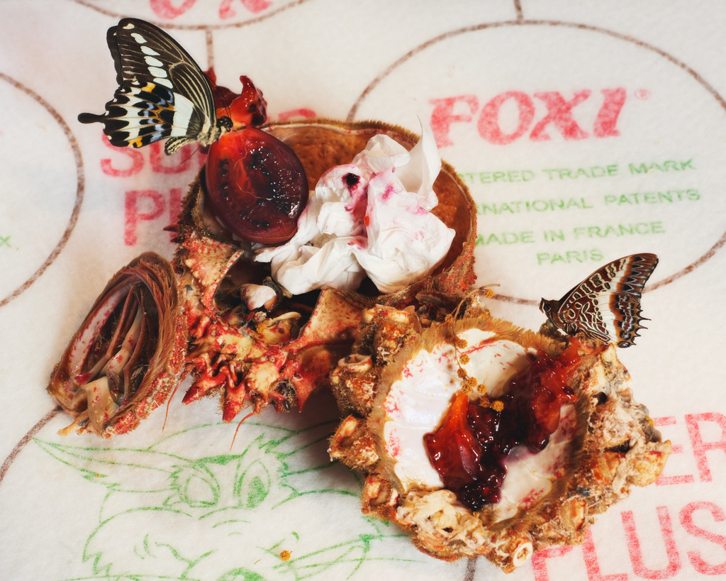 Belladonna - © Arnaud Lajeunie