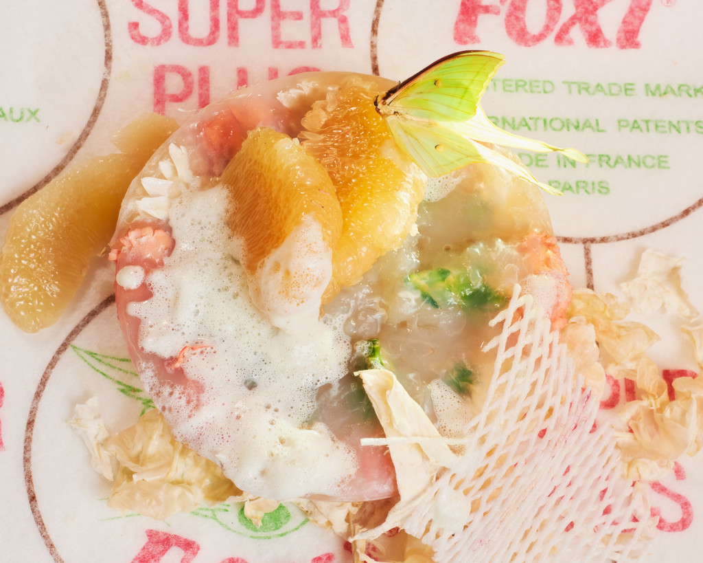 Belladonna - © Arnaud Lajeunie