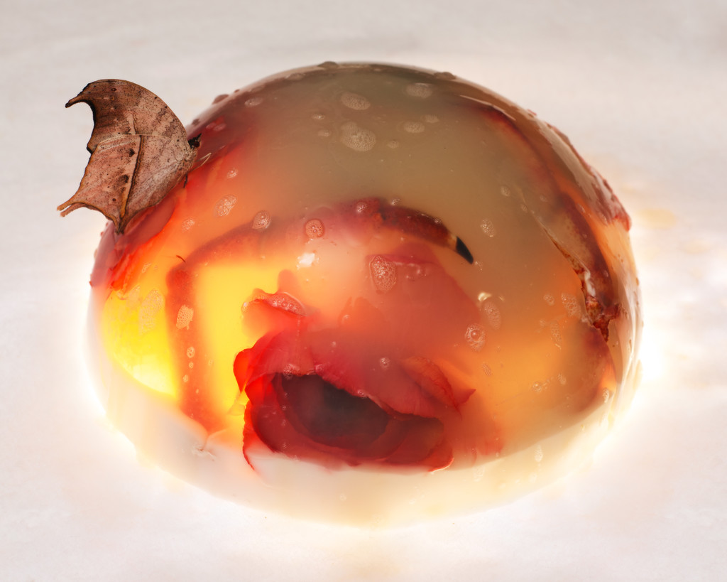 Belladonna - © Arnaud Lajeunie