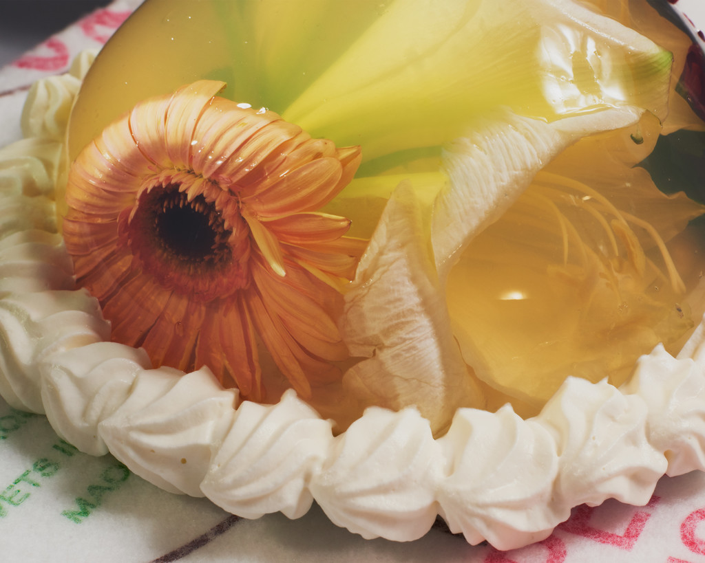 Belladonna - © Arnaud Lajeunie