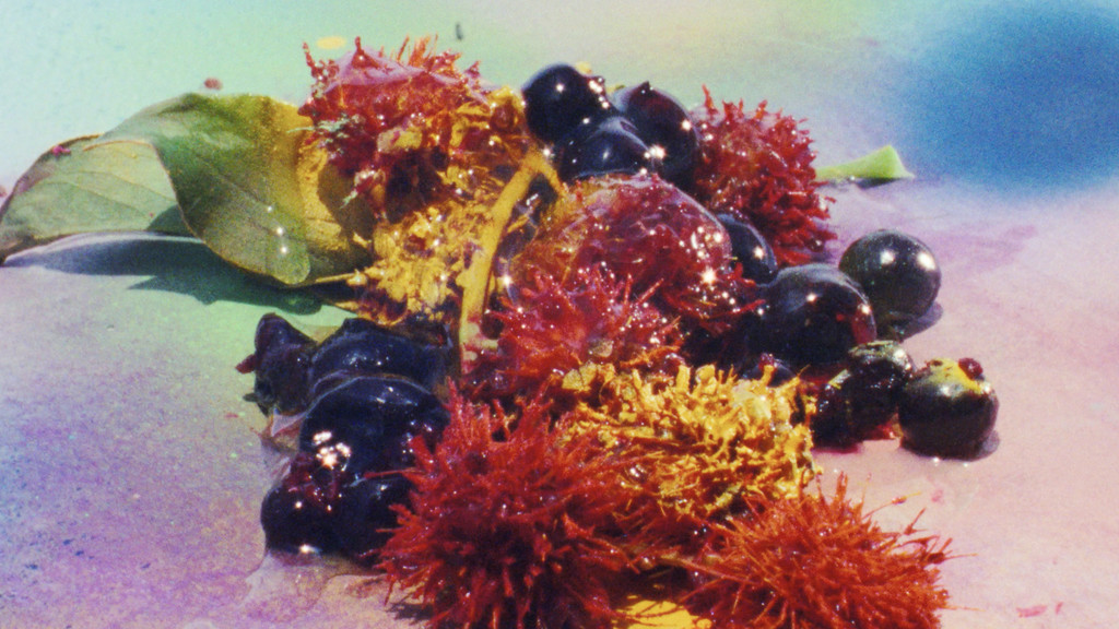 BYREDO - © Arnaud Lajeunie