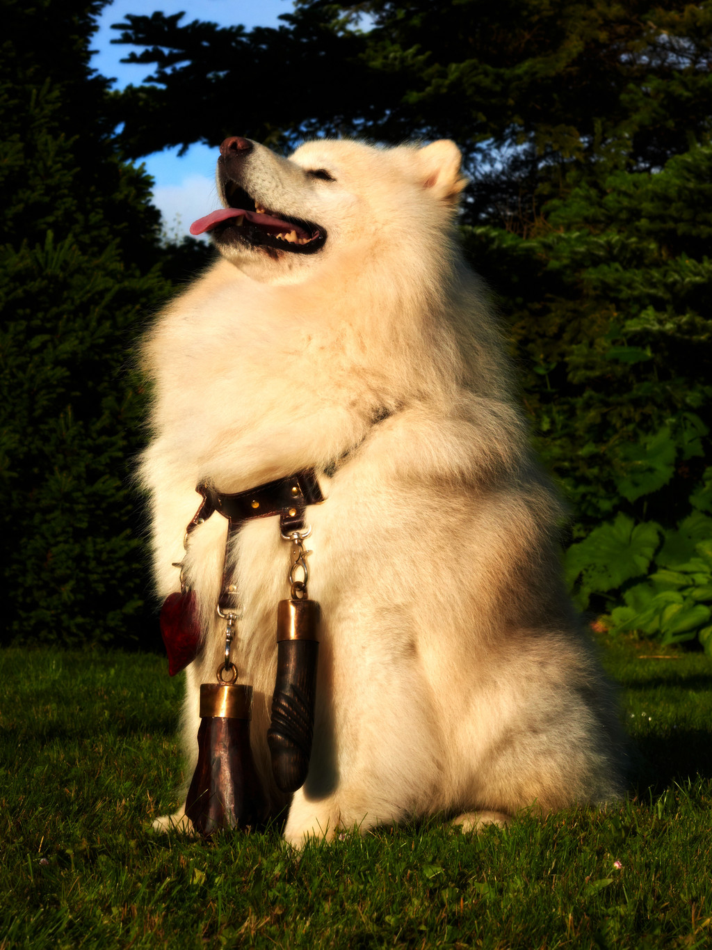 Eesti - © Arnaud Lajeunie