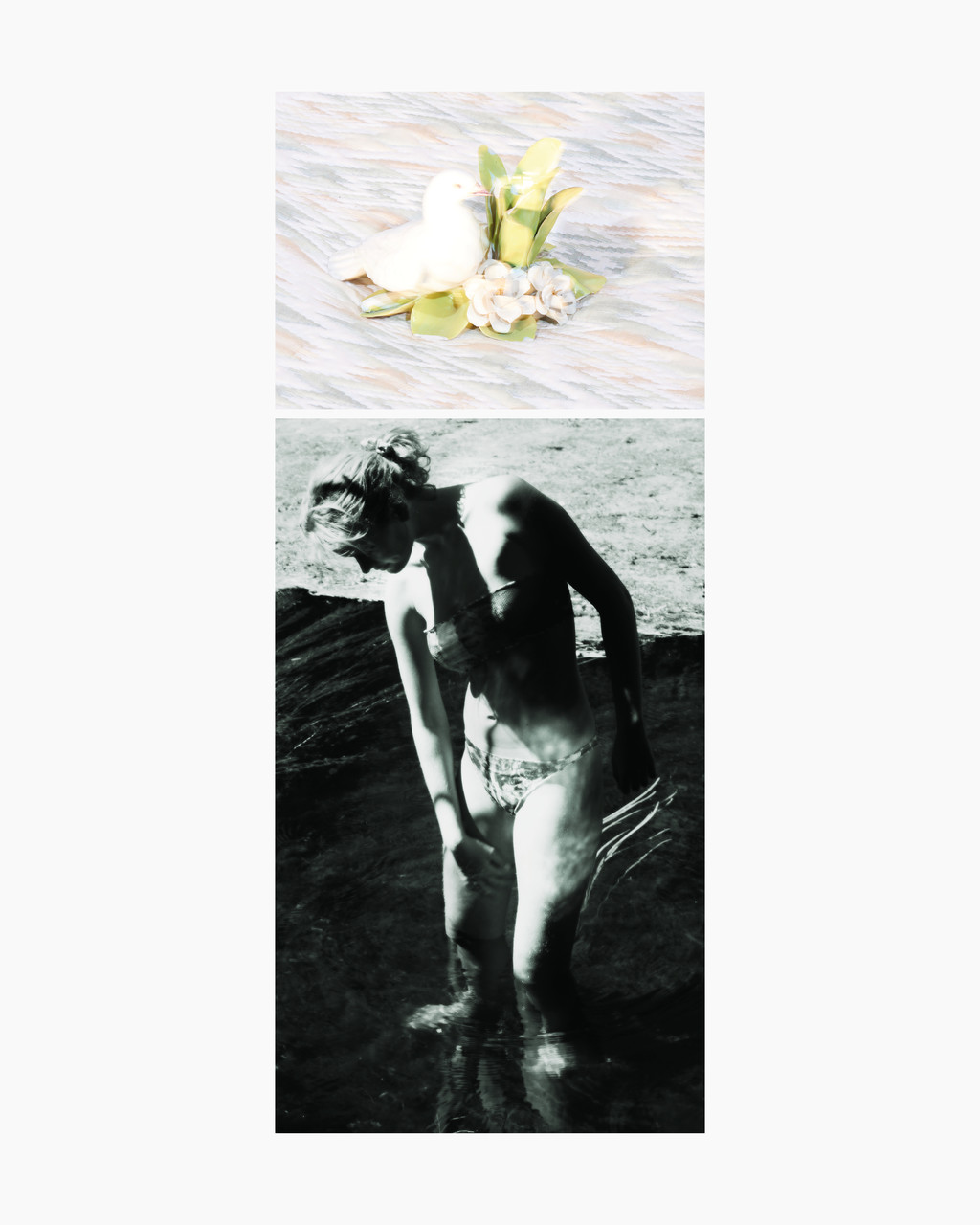 Egreville - © Arnaud Lajeunie