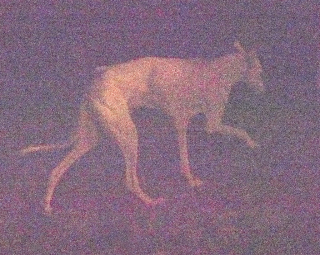 Egreville - © Arnaud Lajeunie