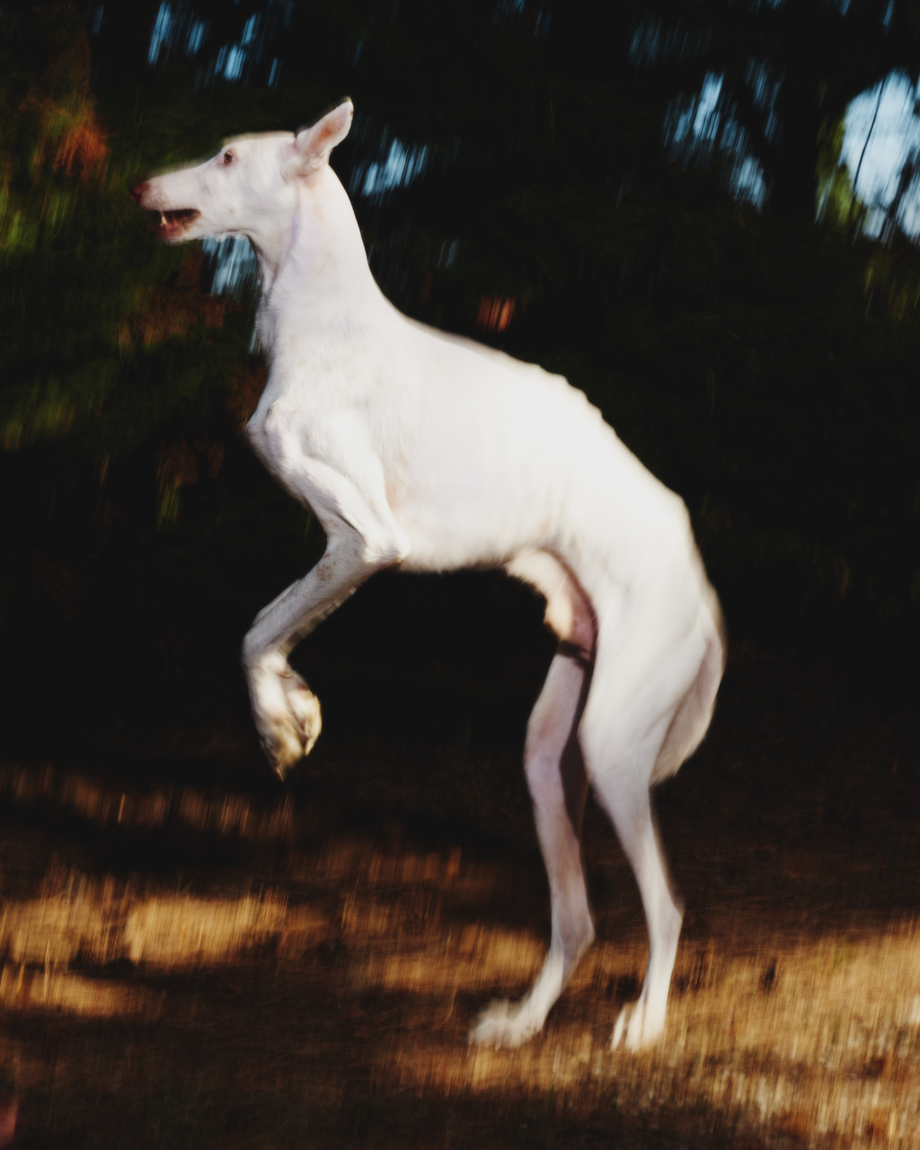 Egreville - © Arnaud Lajeunie