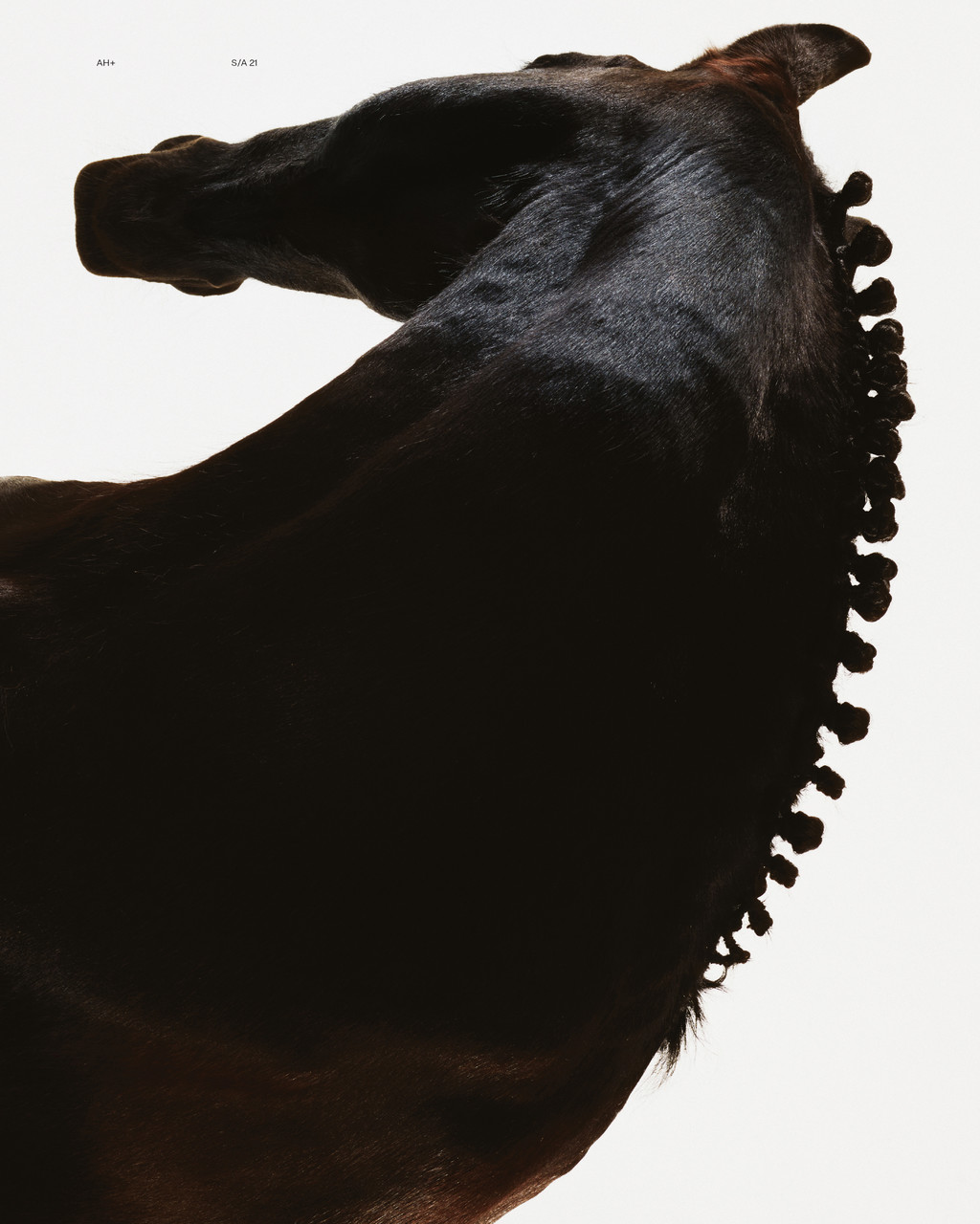 Eliot - © Arnaud Lajeunie