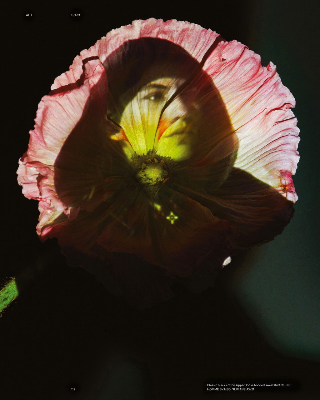 Eliot - © Arnaud Lajeunie