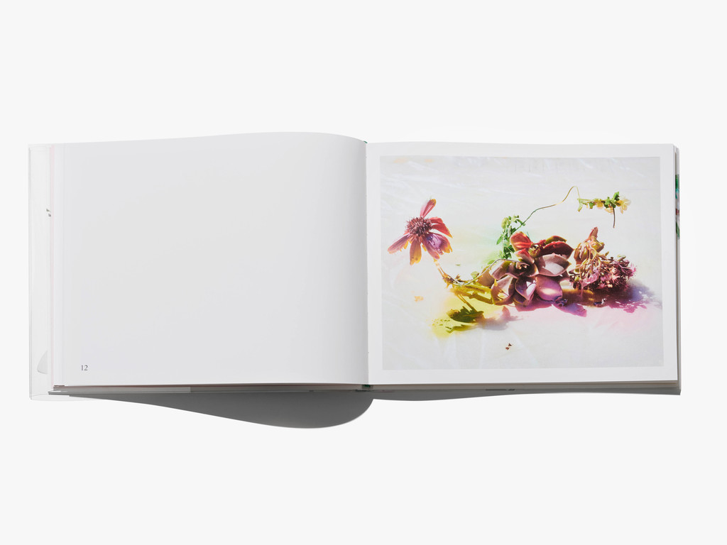 FLOWERS - © Arnaud Lajeunie