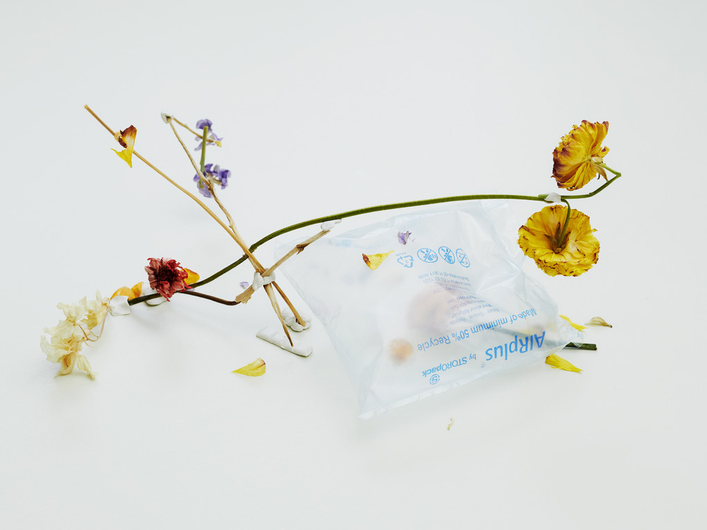 FLOWERS - © Arnaud Lajeunie