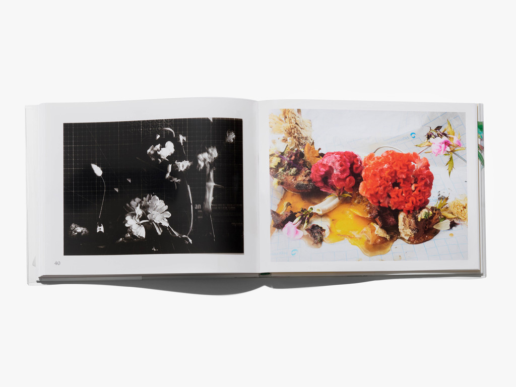 FLOWERS - © Arnaud Lajeunie