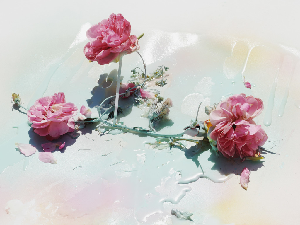 FLOWERS - © Arnaud Lajeunie