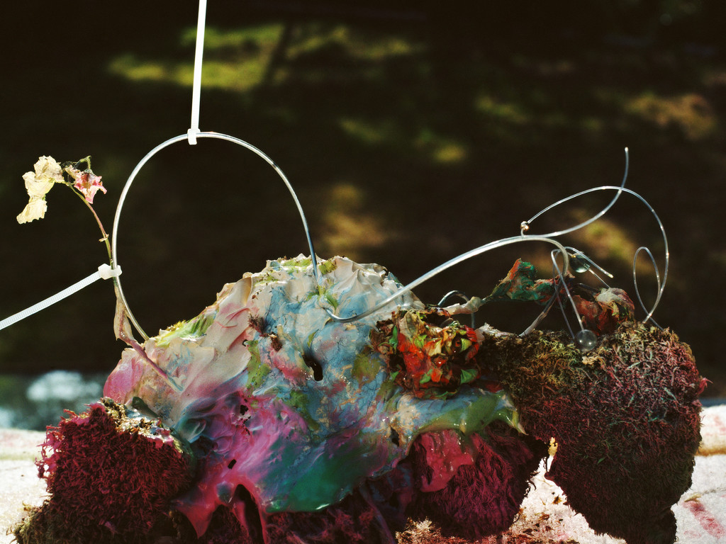 FLOWERS - © Arnaud Lajeunie