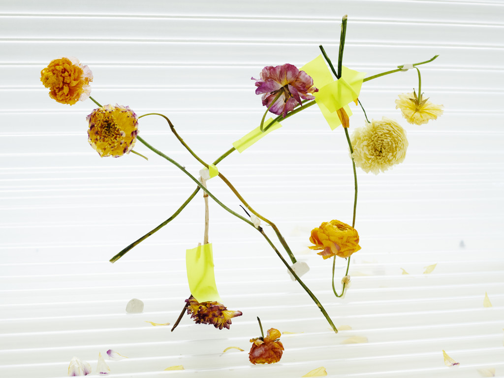 FLOWERS - © Arnaud Lajeunie