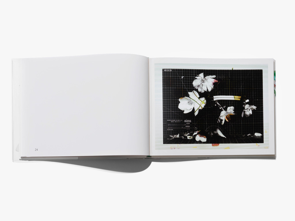 FLOWERS - © Arnaud Lajeunie