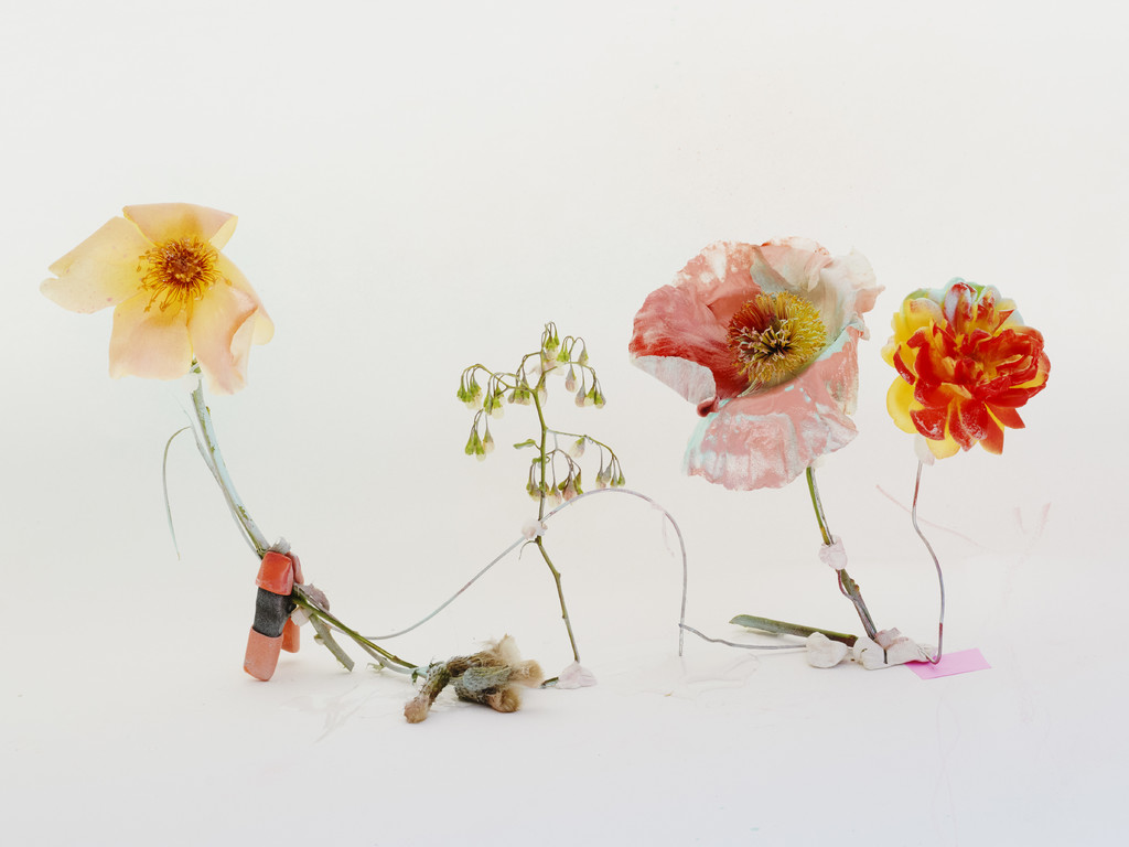 FLOWERS - © Arnaud Lajeunie