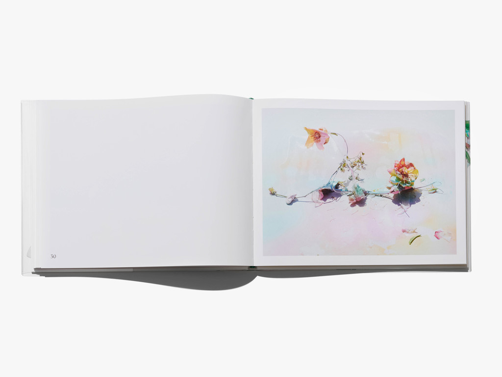 FLOWERS - © Arnaud Lajeunie