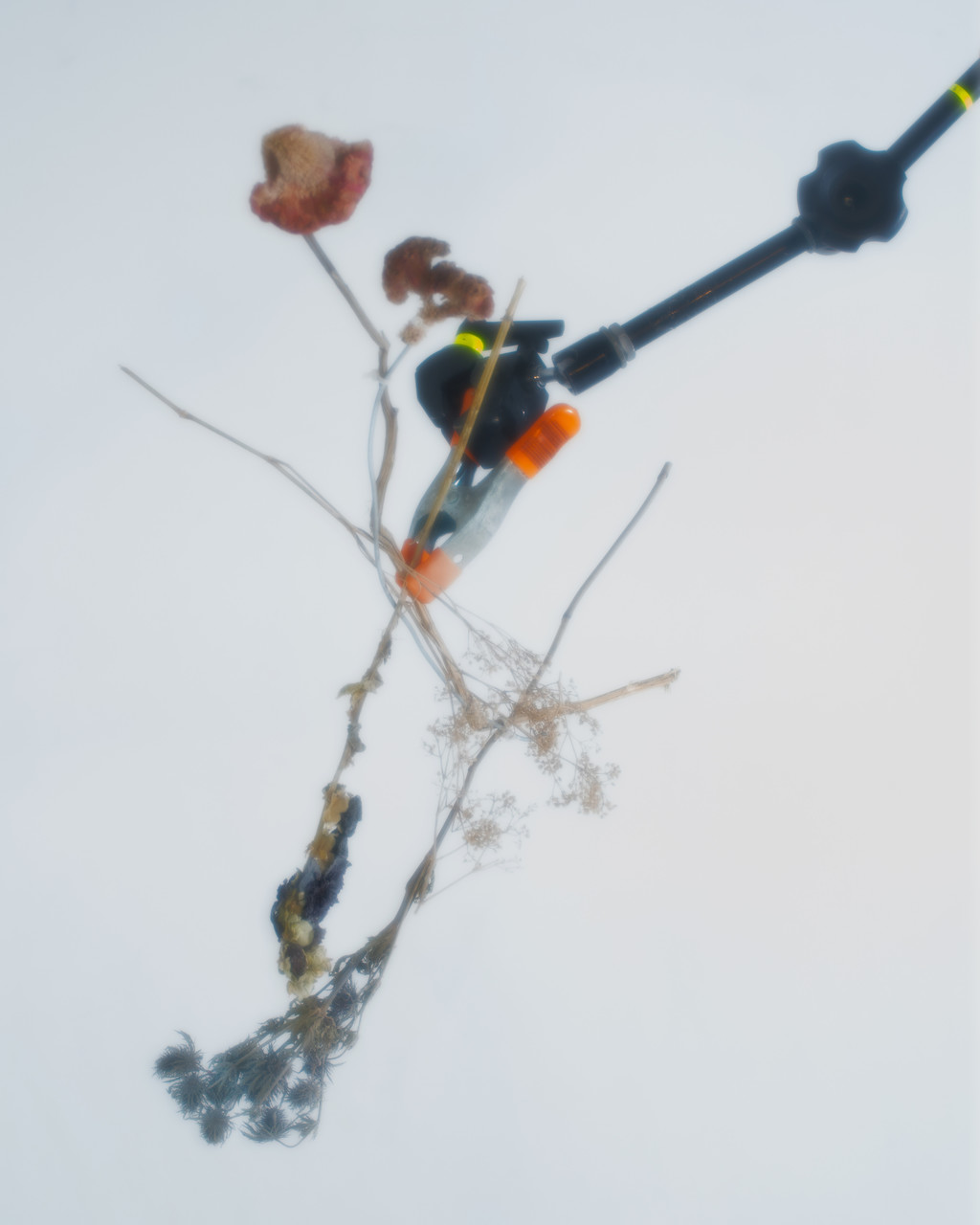 Juliette Binoche - © Arnaud Lajeunie