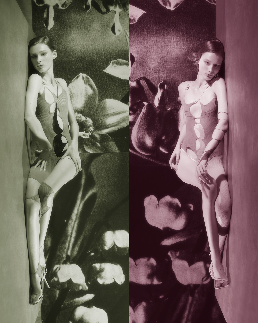 Organise New Ideas - © Arnaud Lajeunie