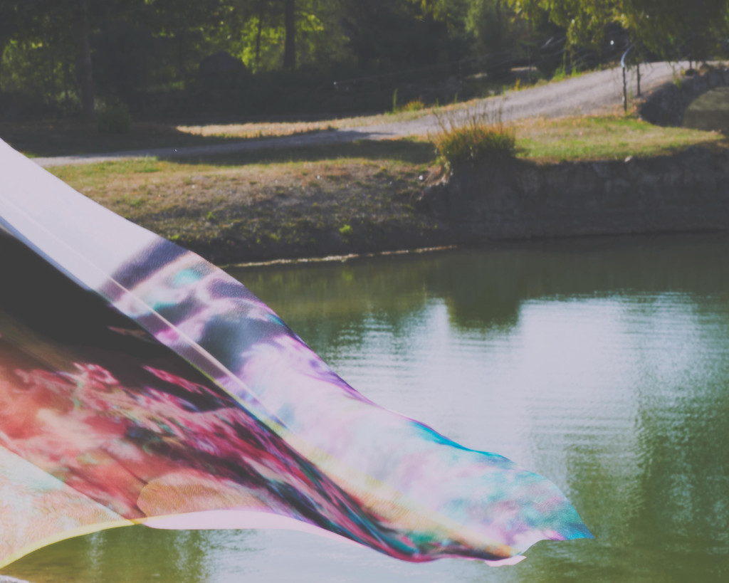 POP 49 - © Arnaud Lajeunie