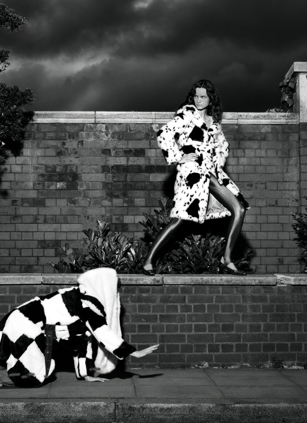 To be liked by you would be a Calamity - © Arnaud Lajeunie