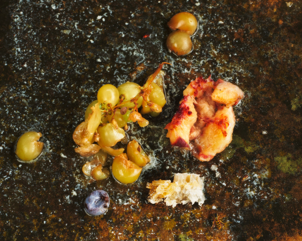 Vermenton - © Arnaud Lajeunie